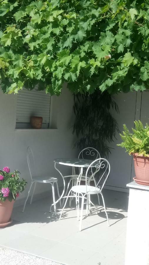 Apartments Bruna טרוגיר מראה חיצוני תמונה